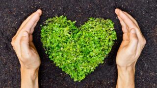 heart made of sprouts