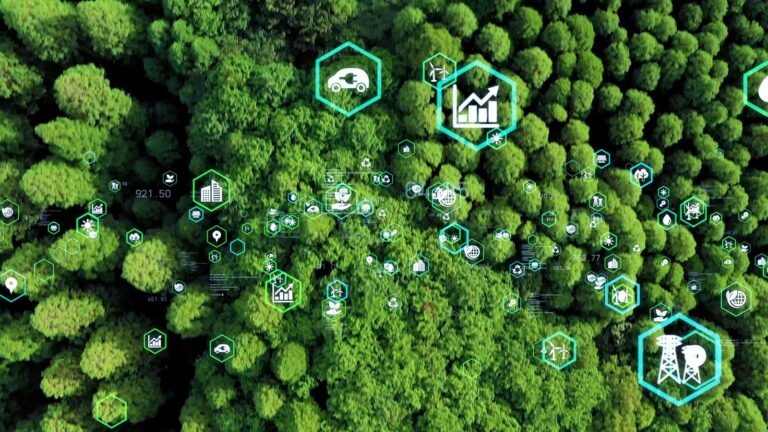 data icons on trees