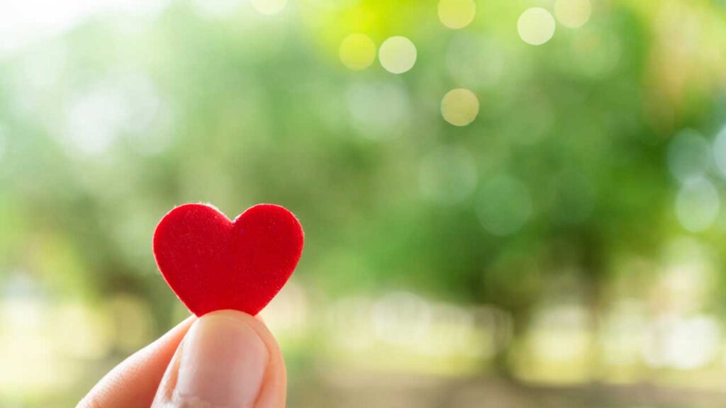 felt heart