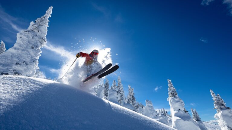 person skiing