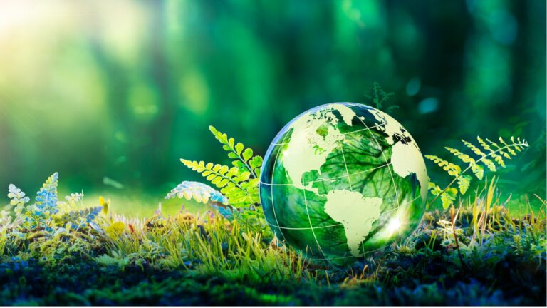 crystal globe on moss