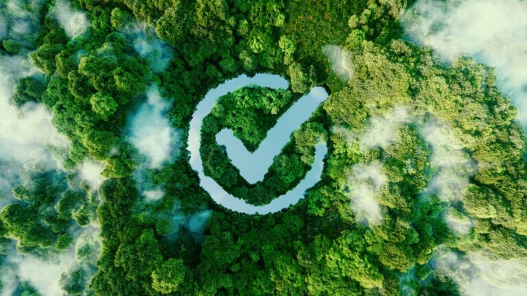 check mark graphic on tree tops