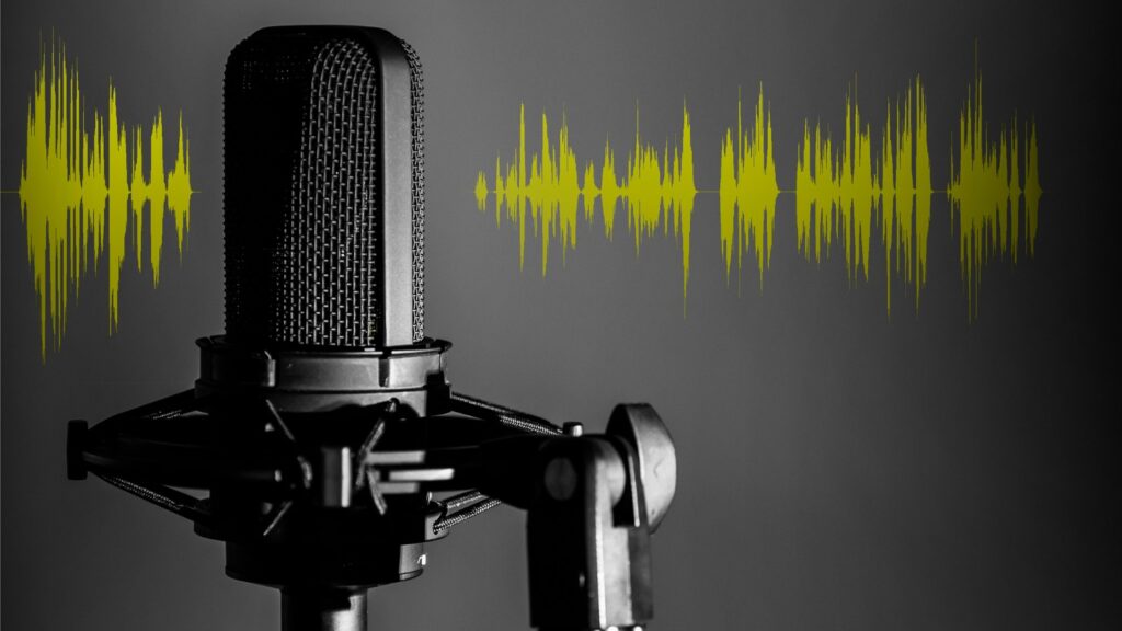 professional studio microphone