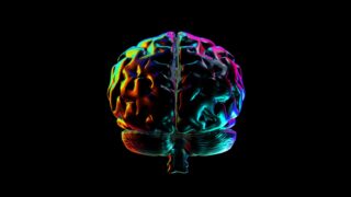 Abstract Human brain with Rainbow Reflections