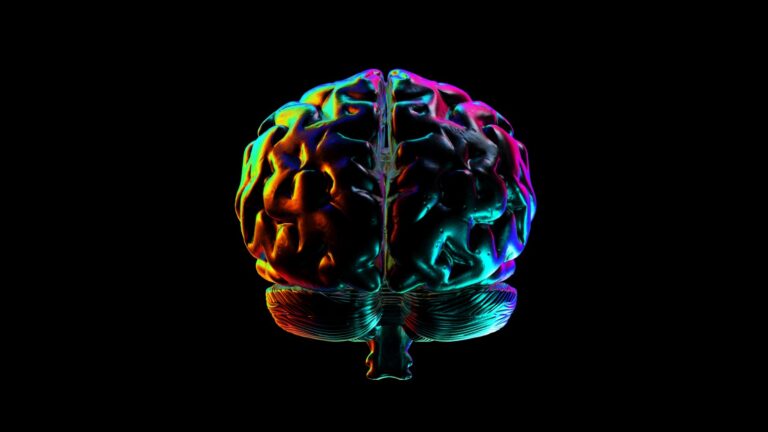 Abstract Human brain with Rainbow Reflections