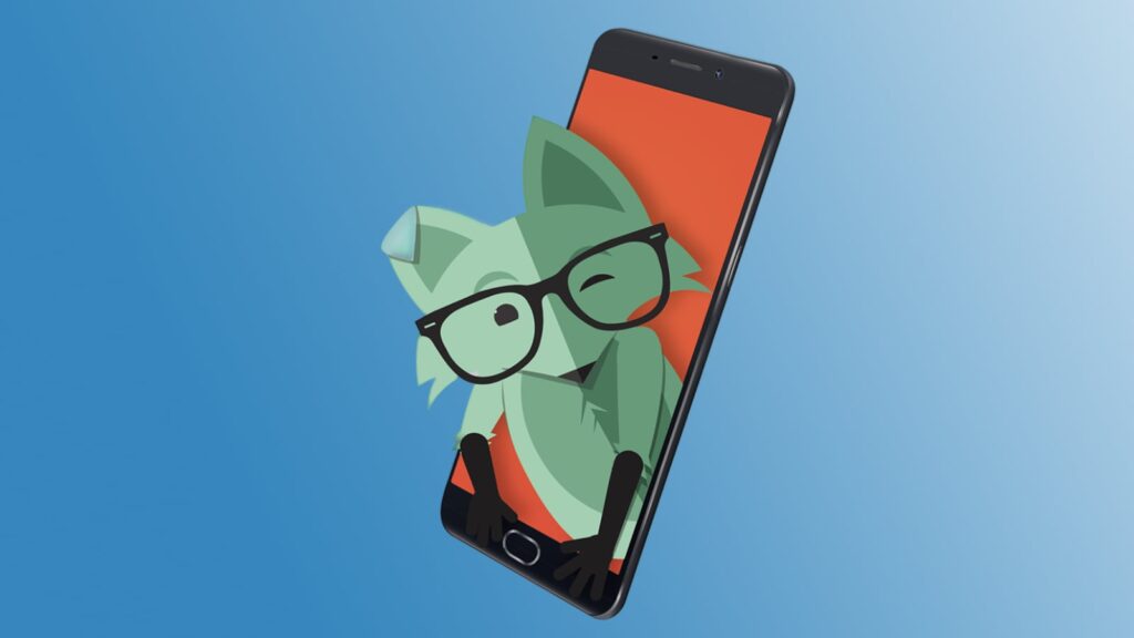 Who Is The Mint Mobile Fox?
