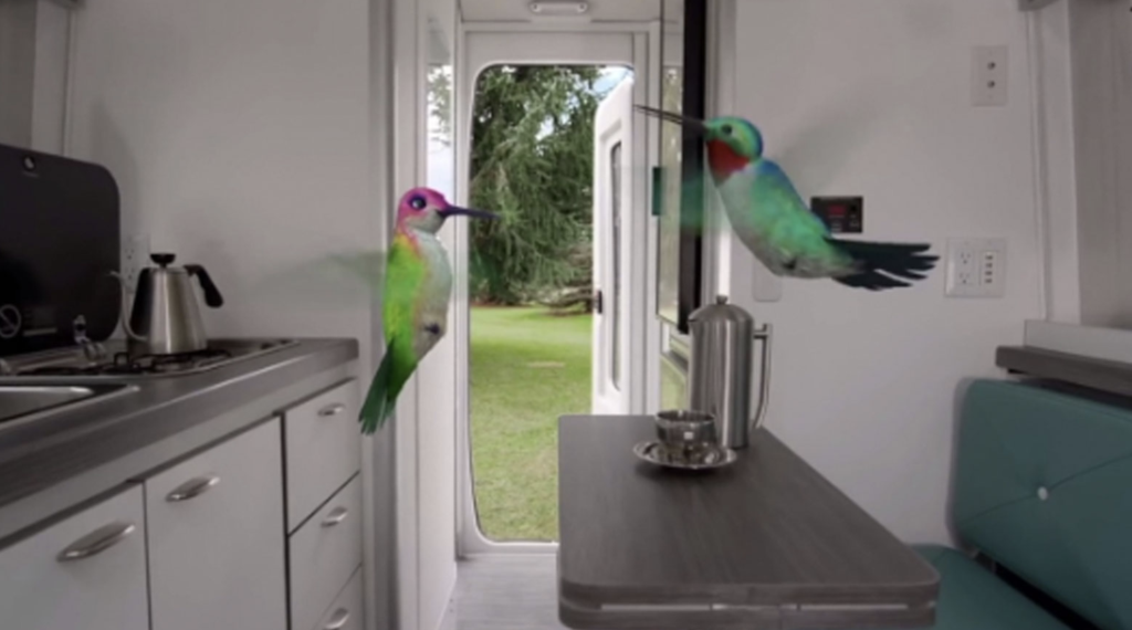 Hummingbird Couple Finds the Perfect “Nest” in Airstream Campaign
