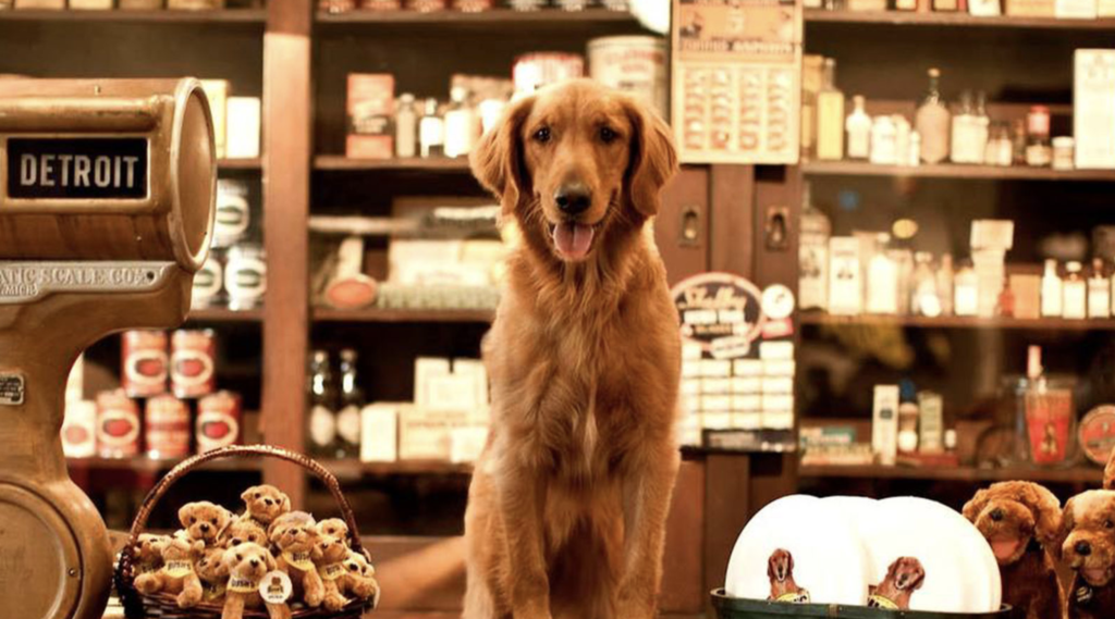 Remembering Sam, the Dog That Played Duke for Bush’s Beans
