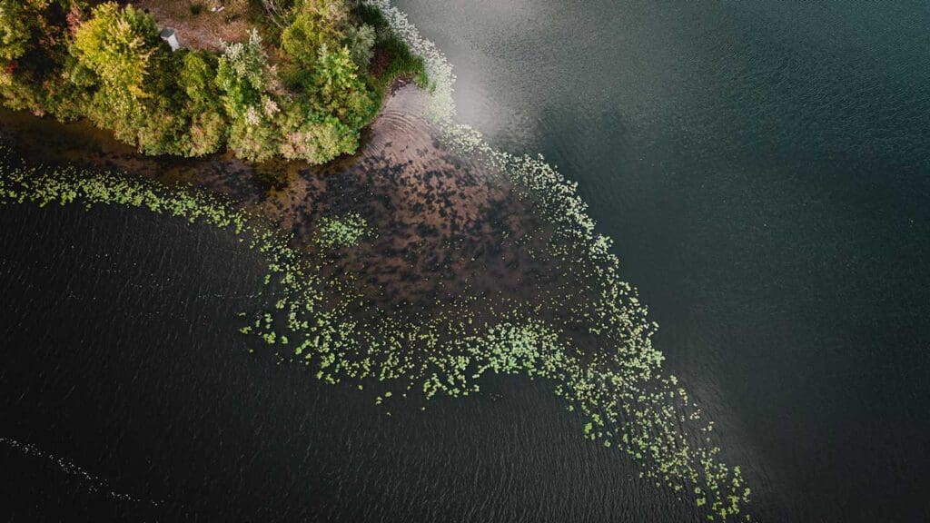 169ecosystem-1024x576