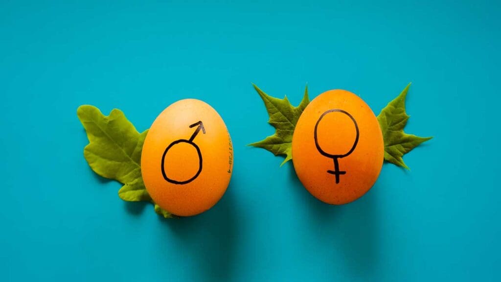 169gender-1024x576